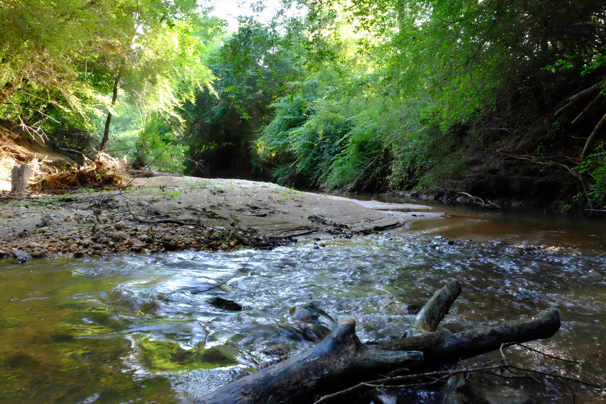 Creekline Trails Public Meeting