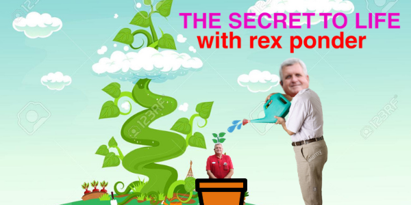 Avoid this one gardening mistake by listening to Rex Ponder