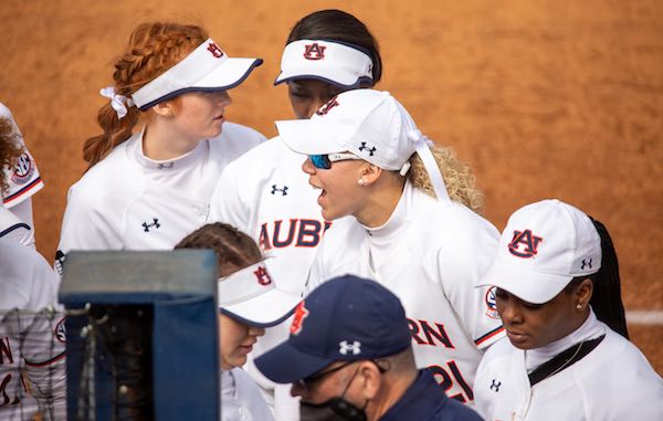 Tigers trek to Jacksonville for Osprey/Dolphin Invite