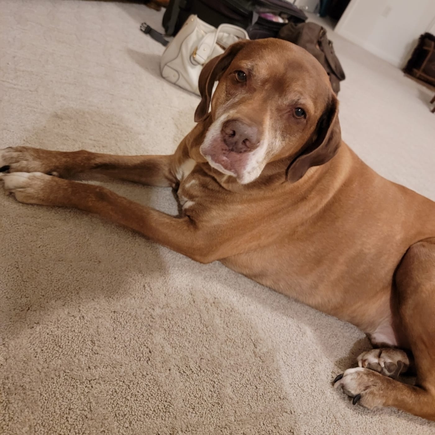 After The Show PODCAST: How Murphy & Jodi’s house smells GOOD!