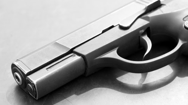 Gun was used as a weapon in majority of recent mass attacks: US Secret Service