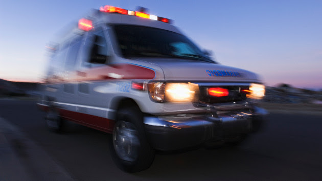 Pack of dogs attack and kill young boy, injures mother