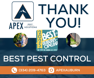 https://apexauburn.com