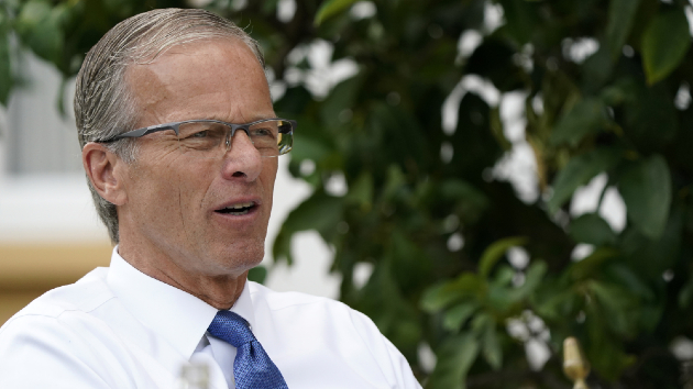 Thune plows ahead to pass Trumps megabill as Musk continues to bash it