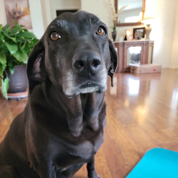 AFTER THE SHOW PODCAST: The Question.